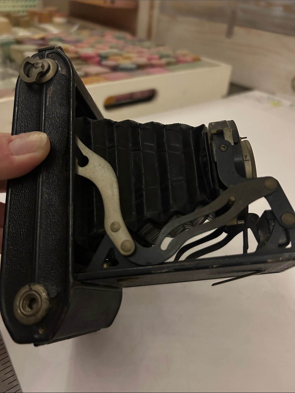 Classic Folding Bellows Camera — Black - Picture 8 of 8